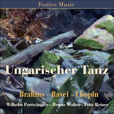 Wilhelm Furtwängler/Thomas Quasthoff/Anne Sofie von Otter/Elizabeth Schwarzkopf/Jean-Philippe Lafont/Bernard Haitink/Franz Vroons/Elizabeth Shwarzkopf/Hans Hooter/Jaco HuijpenUngarischer Tanz