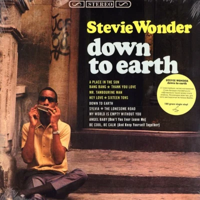 Stevie WonderDown to Earth