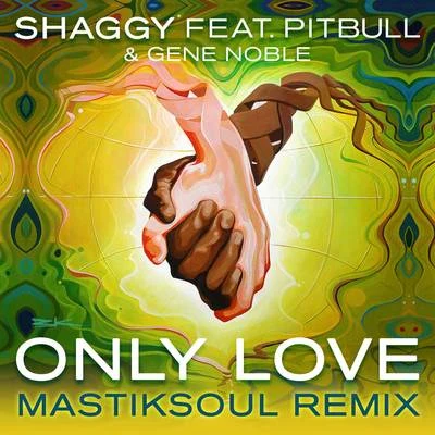 ShaggyGCKraniumSTORiRSNYOnly Love (Mastiksoul Remix)