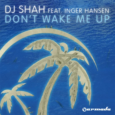 DJ ShahDont Wake Me Up