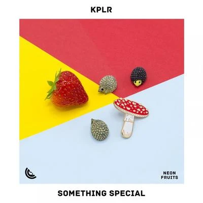 KPLR/USAISomething Special