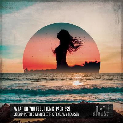 Jolyon PetchWhat Do You Feel (feat. Amy Pearson) [Remix Pack #2]