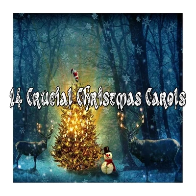 Christmas Songs/Christmas Hits/Christmas Music14 Crucial Christmas Carols