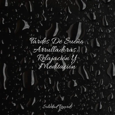 Dormir e MeditarMaestros de música de la meditaciónMusica Relajante SpecialistasTardes De Sueño Arrulladoras | Relajación Y Meditación