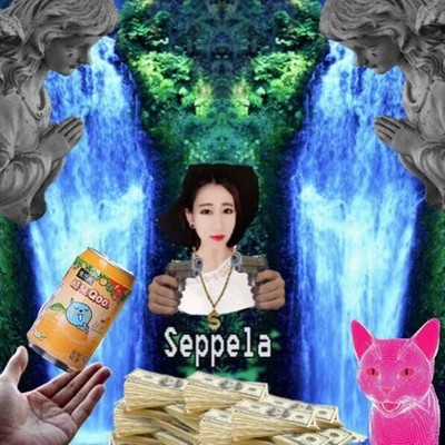 Seppela當然了我是誰啊