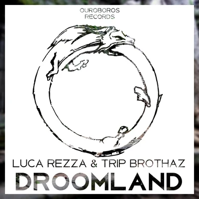 Luca RezzaDroomland