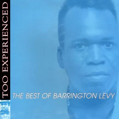 Barrington LevyToo Experienced - The Best of Barrington Levy