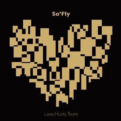 SoFlyLove, Hurts, Tears