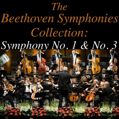 Sinfonia VarsoviaThe Beethovan Symphonies Collection: Symphonies No. 1 & No. 3