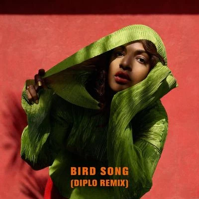 M.I.A.Bird Song (Diplo Remix)