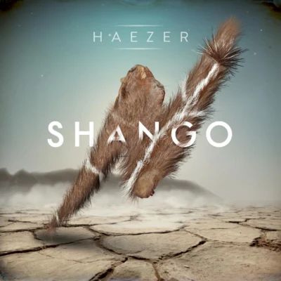 Haezer/AutodidaktShango Single