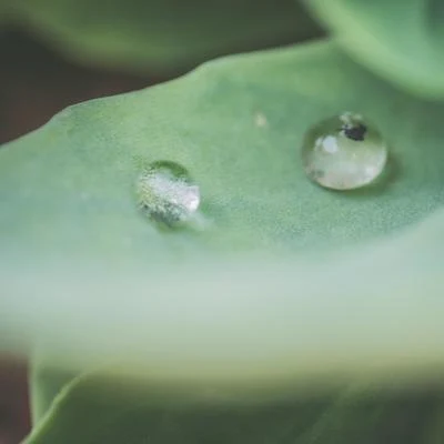 Masaje Relajante Masters/Unidad de música zen relajante/Musica Relajante Piano MasterMelodías De La Naturaleza Otoñol | Sonidos Tranquilos | Meditación Música Relajante