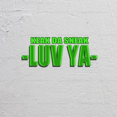 Keak da Sneak/Josehasagun/FinesseGang L/Dela The FellaLuv Ya