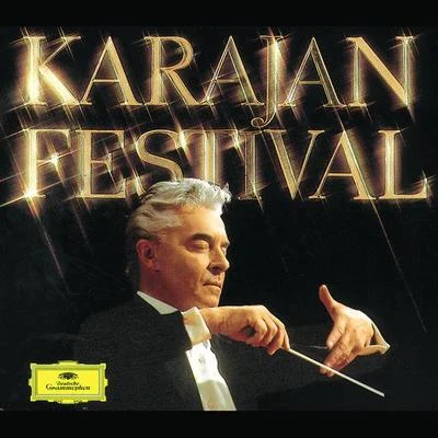 Berliner PhilharmonikerKarajan Festival