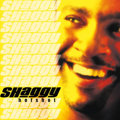 Shaggy/Young Jeezy/Akon/Swae Lee/Pop SmokeHot Shot