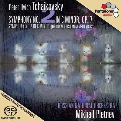 Mikhail Pletnev/Jean-yves Thibaudet/Daniil Trifonov/Daniel Barenboim/Jean-Marc Luisada/Lilya Zilberstein/郎朗/Quintino & Blasterjaxx/Vladimir Ashkenazy/Jan LisieckiTCHAIKOVSKY, P.I.: Symphony No. 2 (Russian National Orchestra, Pletnev)