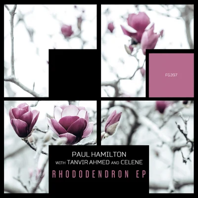 Paul Hamilton/Cedric Dumont/Charles Williams/Monia Liter/New Concert Orchestra/Vivian Ellis/Eric Coates/Trevor Duncan/Queens Hall Light Orchestra/Leonard Charles TrebilcoRhododendron EP