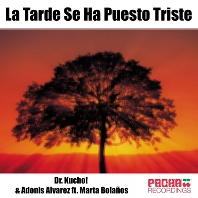 Dr. Kucho!La Tarde Se Ha Puesto Triste