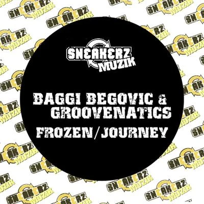 Baggi BegovicFrozenJourney