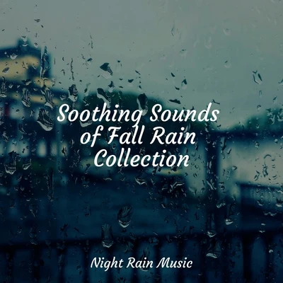 Bedtime Baby/Shakuhachi Sakano/Baby Sleep MusicSoothing Sounds of Fall Rain Collection