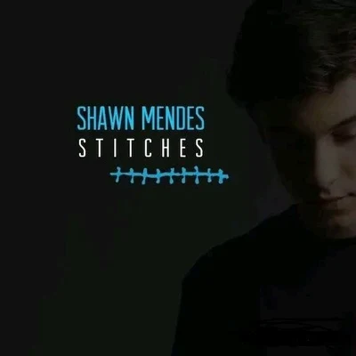 Shawn Mendes/NOTDStitches