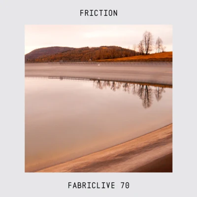 FrictionFABRICLIVE 70