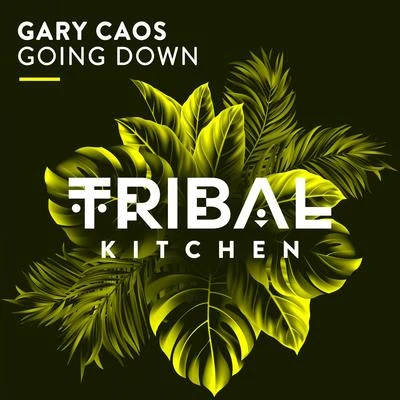 Gary Caos/Lion Pink/DJ DanGoing Down (Radio Edit)