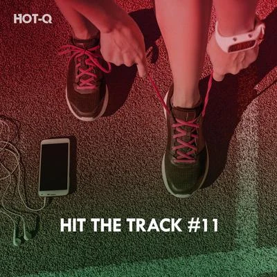 Amar/Hot-QHit The Track, Vol. 11