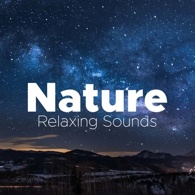 Villa Musica Ensemble/Classical Music Songs/Leonard HokansonNature - Relaxing Sounds to Soothe your Mind and Body