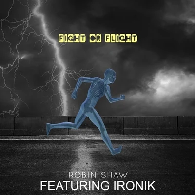 IronikFight or Flight (feat. Ironik)