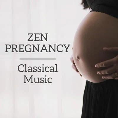 Franz SchubertZen Pregnancy Classical Music