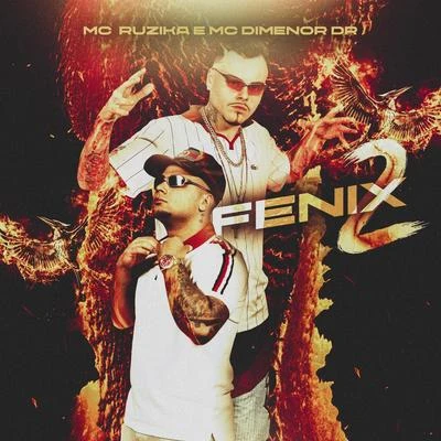 Mc Dimenor DrFenix 2