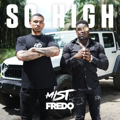 Mist/Tion WayneSo High (feat. Fredo)