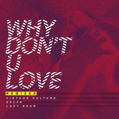 Vintage CultureWhy Dont U Love (Remixes)