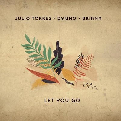 Meca/Julio Torres/STRRLet You Go