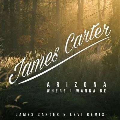 James Carter/Juke RossWhere I Wanna Be