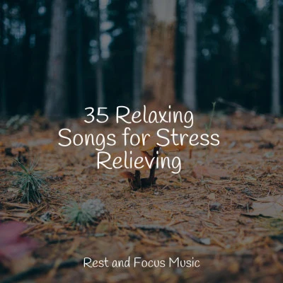 SleepTherapy/Oasis de Détente et Relaxation/Nature & Sounds Backgrounds35 Relaxing Songs for Stress Relieving