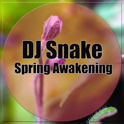 DJ Snake/Unregular/Chris Robleda/LauvSpring Awakening