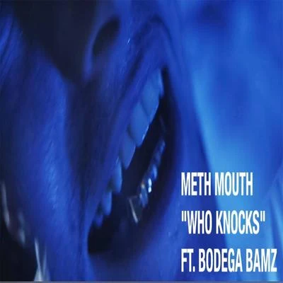 Bodega BamzWho Knocks (feat. Bodega Bamz)