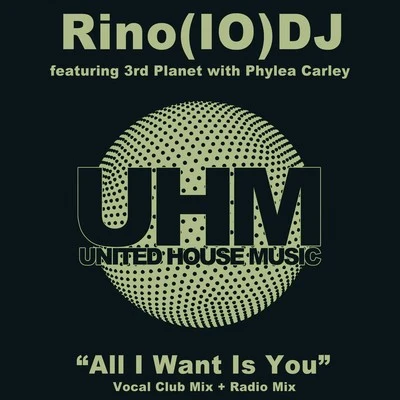 Rino(IO)DJAll I Want Is You