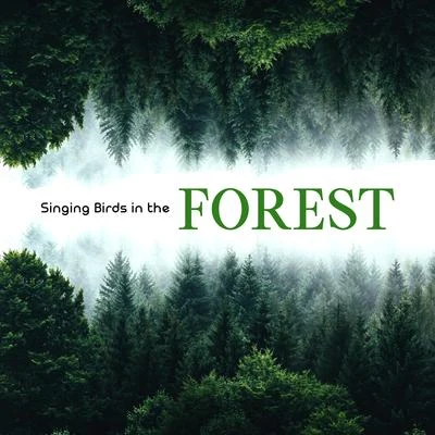 Irish Celtic Music/The Calming Sounds of NatureSinging Birds in the Forest: 15 Best Relaxing Songs, Calming Music for Hard Day, Nature Sounds with Piano Melodies, Relax Your Mind