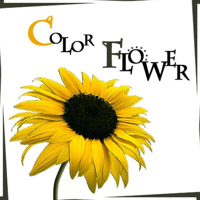 KCMColor Flower