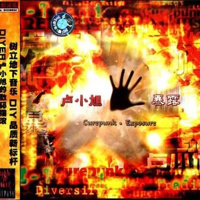 聲音玩具 (Soundtoy)/盧小旭/阿修羅樂隊/雷神/魏小石/風暴咒語/惡臭/赤潮/MC大寬/梁鵬暴露