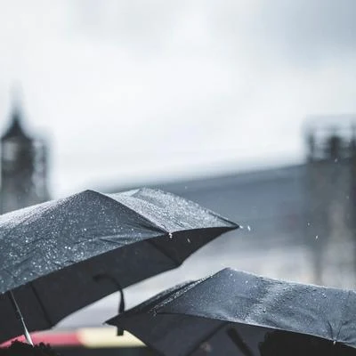 Rain/Rain Sounds Factory STHLM/Shakuhachi Sakano/Sounds Of Nature : ThunderstormEnticing Nature: Soothing Mountain Rain