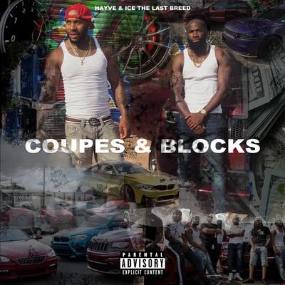 hayveimallrytKuuroCoupes & Blocks