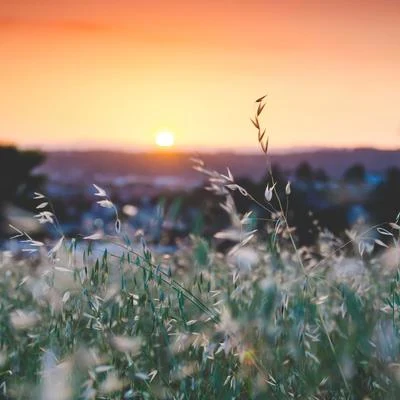 Musica Relajante/Nature Sounds for Concentration/Sound of RainMeditación Tranquila Relajación Melodías