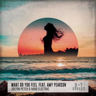 Jolyon PetchWhat Do You Feel (feat. Amy Pearson)