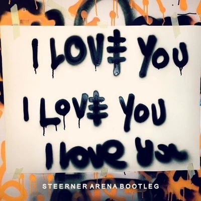 Steerner/Hechmann/LiamooI Love You (Steerner Arena Bootleg)