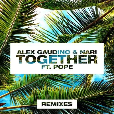 Alex Gaudino/Crystal WatersTogether (Remixes)