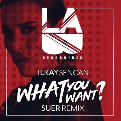 Ilkay SencanWhat You Want (SUER Remix)